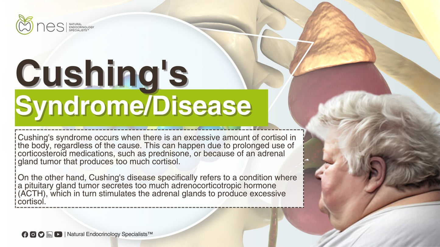 Cushing’s Disease/Syndrome Testing