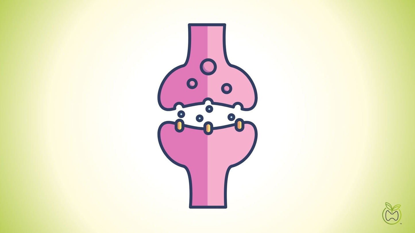 Neurotransmitters Testing