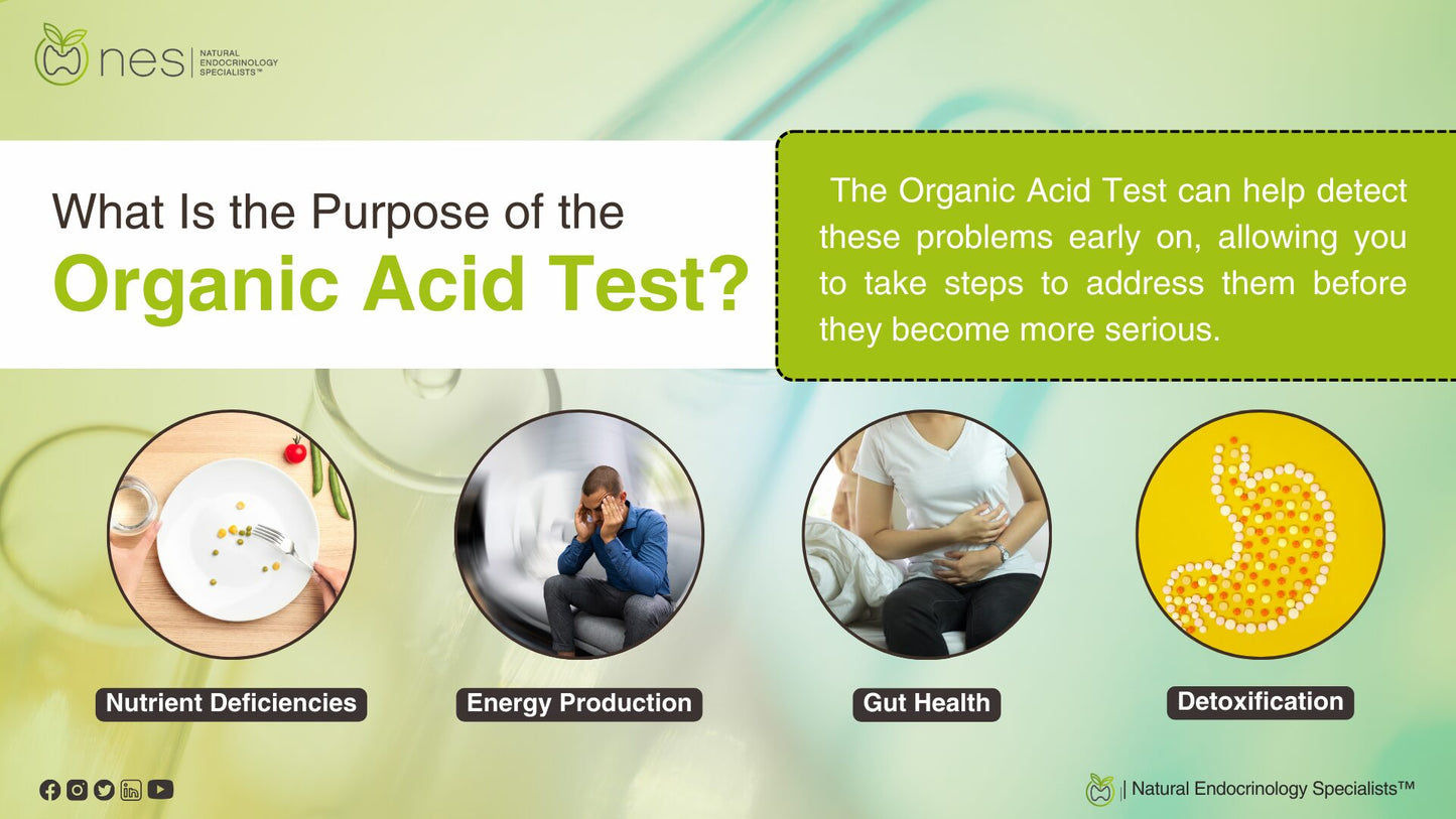 Organic Acid Testing