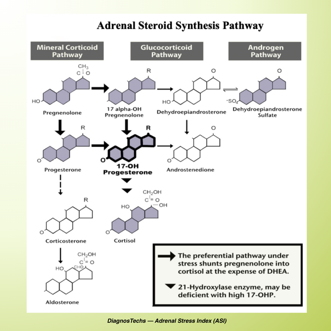 Salivary Cortisol Testing