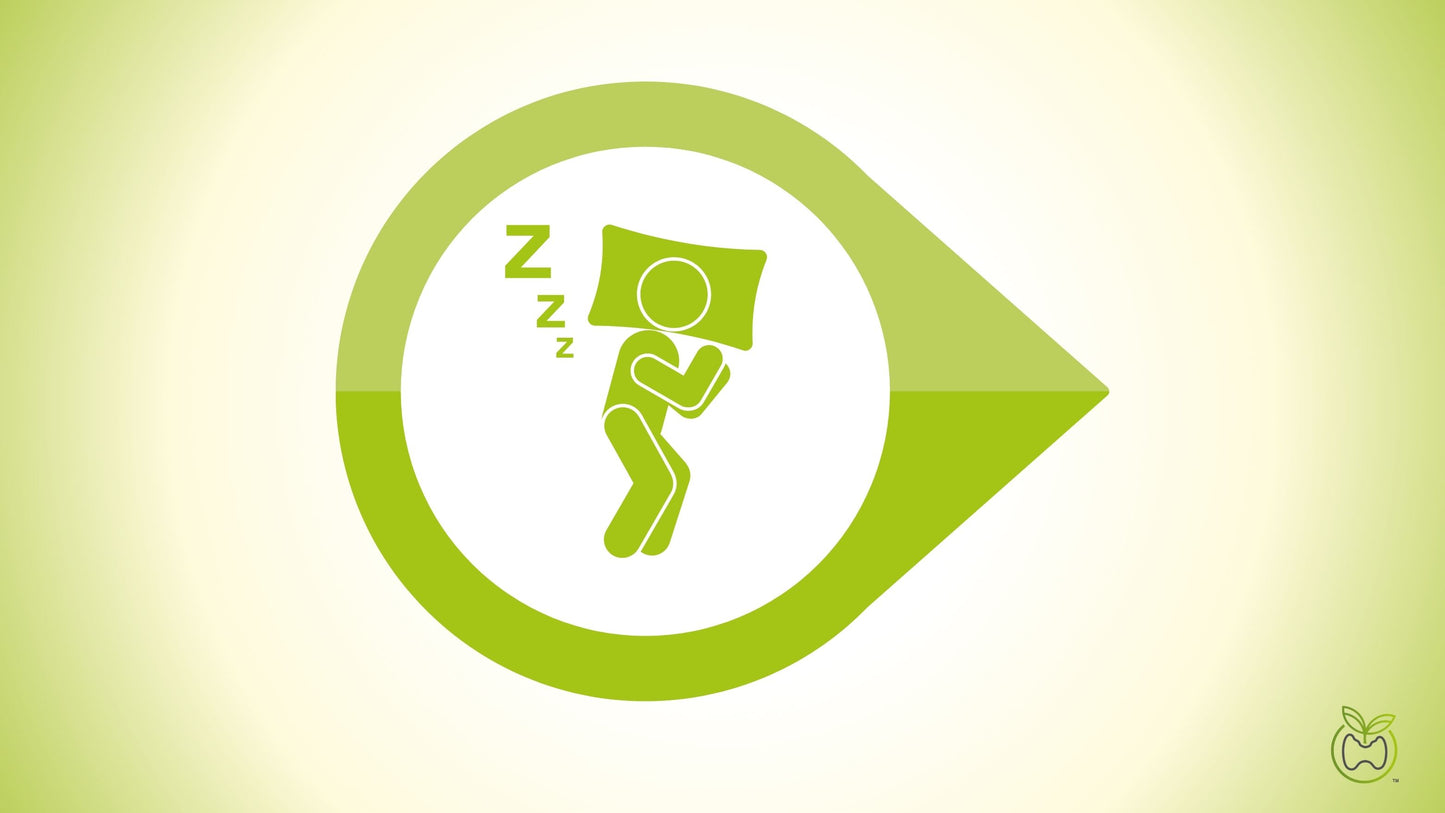 Sleep Apnea Testing