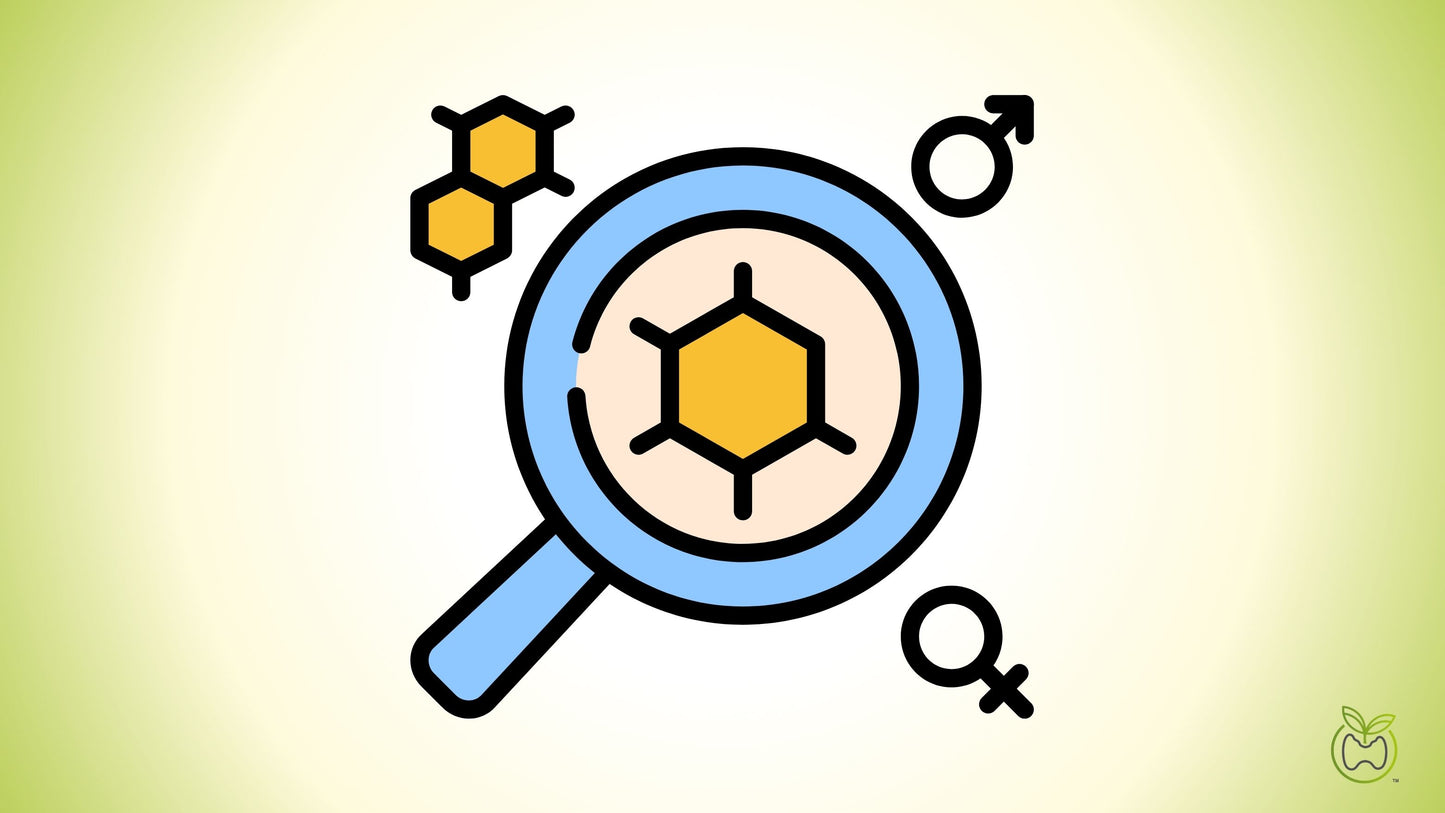 Sleep Hormone Testing