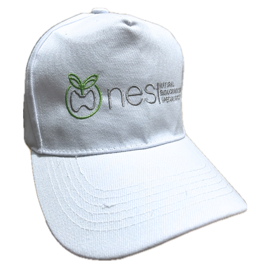 NES™ Classic Hat