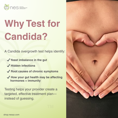 Candida Testing