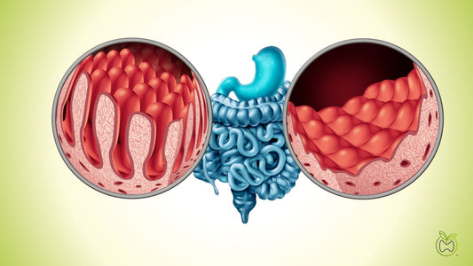 Celiac Disease Testing