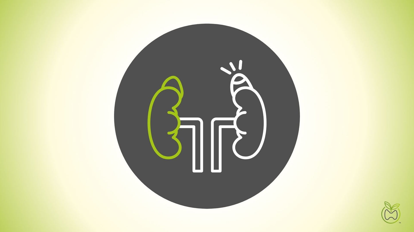 Cushing’s Disease/Syndrome Testing