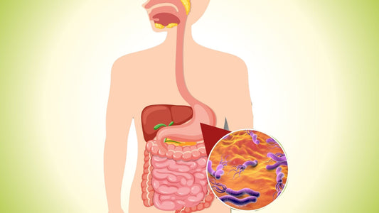 H. Pylori Testing