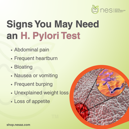 H. Pylori Testing