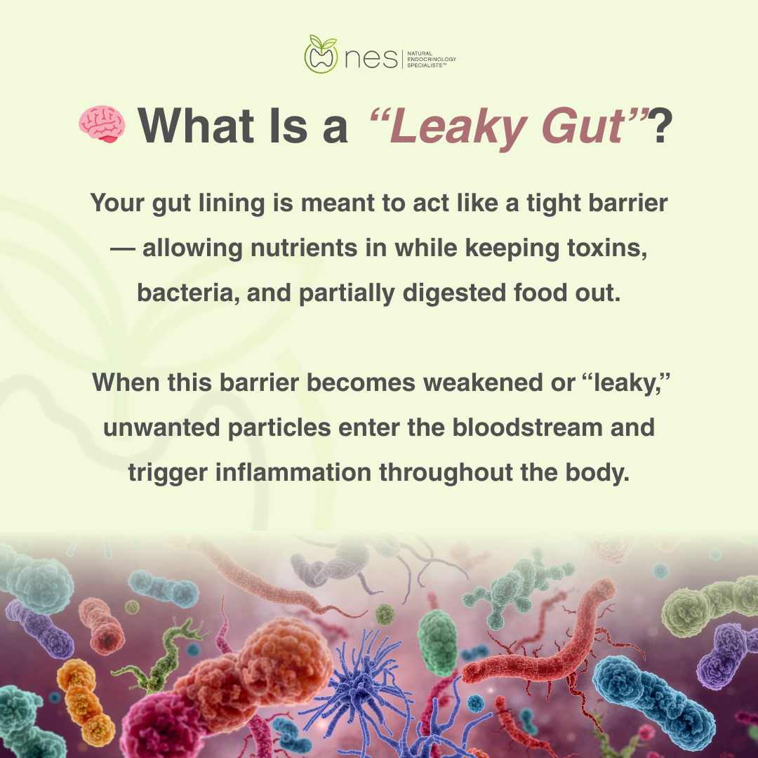 Leaky Gut Testing