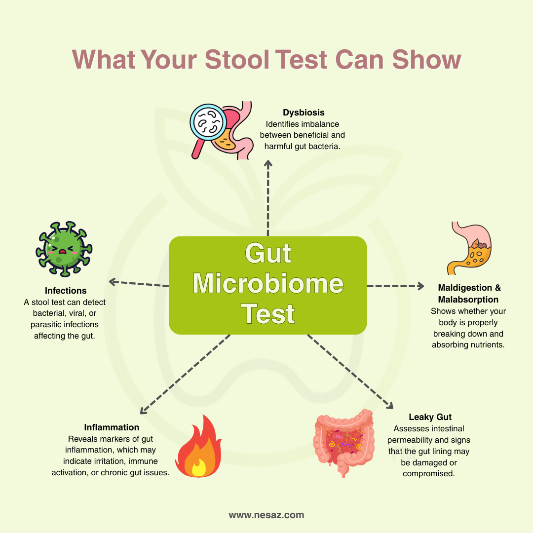 Microbiome Stool Testing