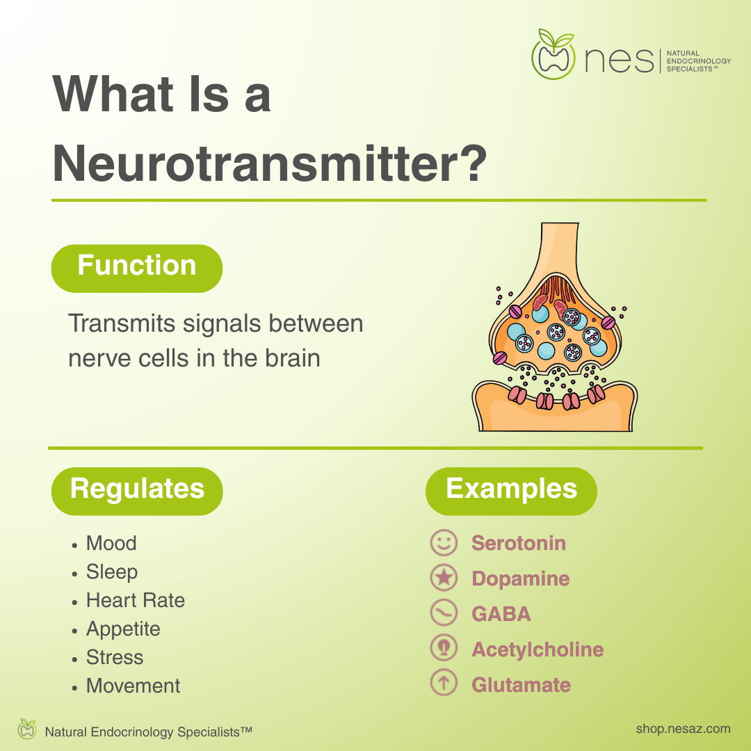 Neurotransmitters Testing