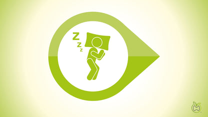 Sleep Apnea Testing