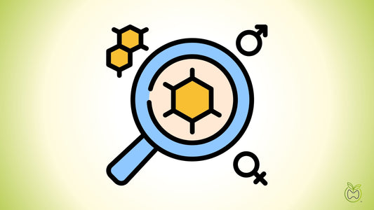 Sleep Hormone Testing