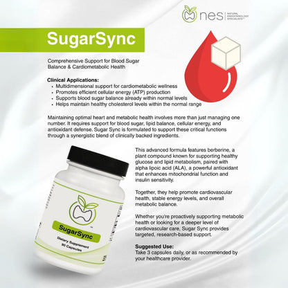 SugarSync