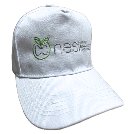 NES™ Classic Hat