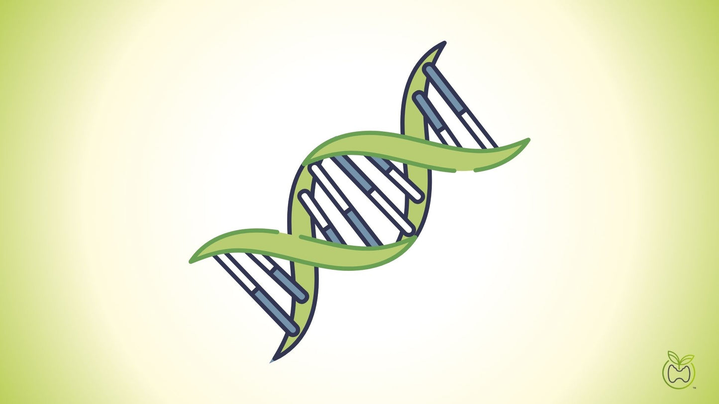 Genetic Testing