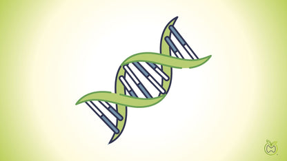 Genetic Testing