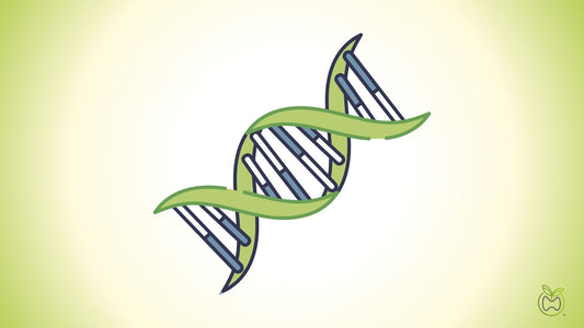Genetic Testing