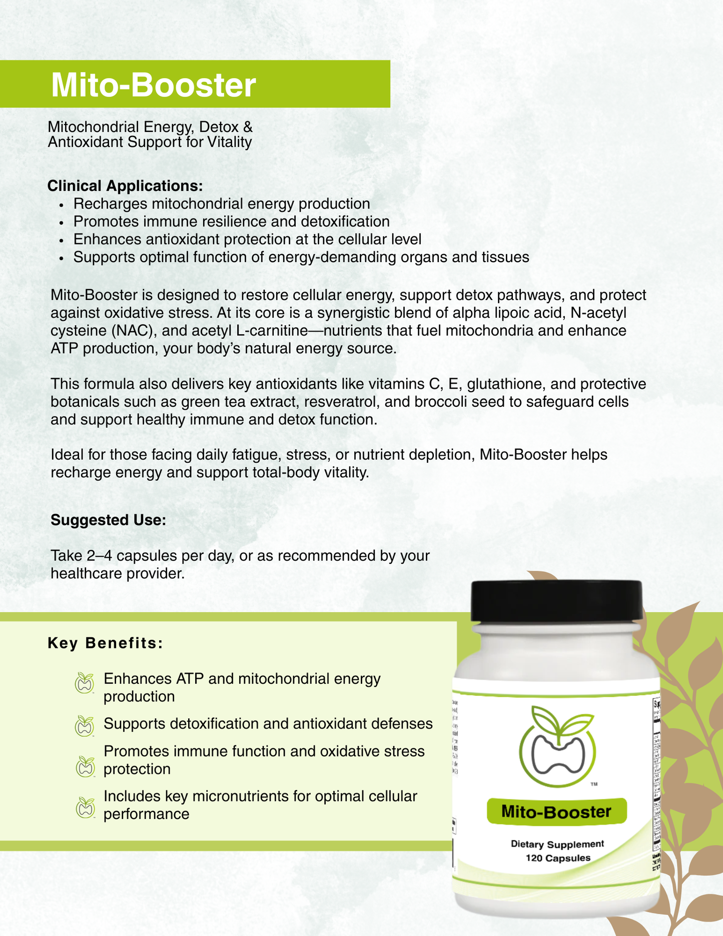 Mito-Booster